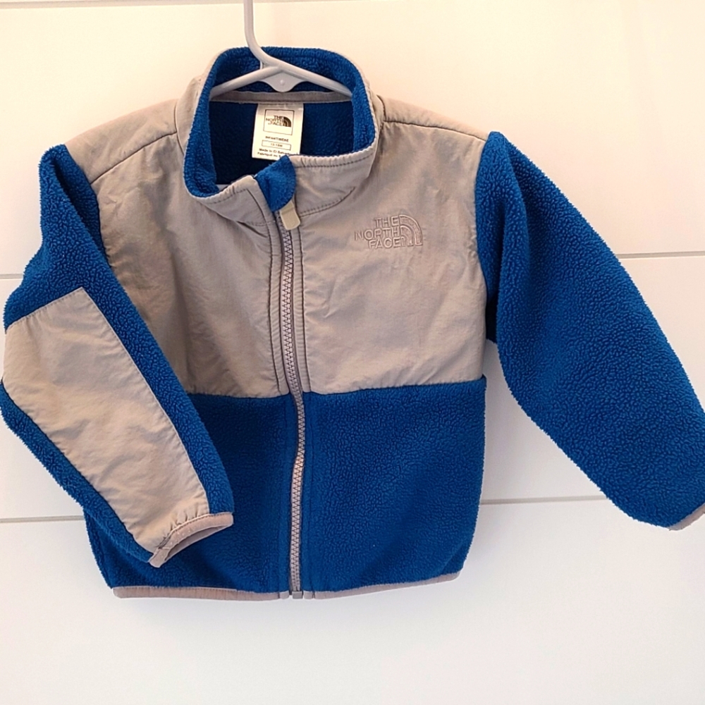 The Northface Toddler Denali Jacket